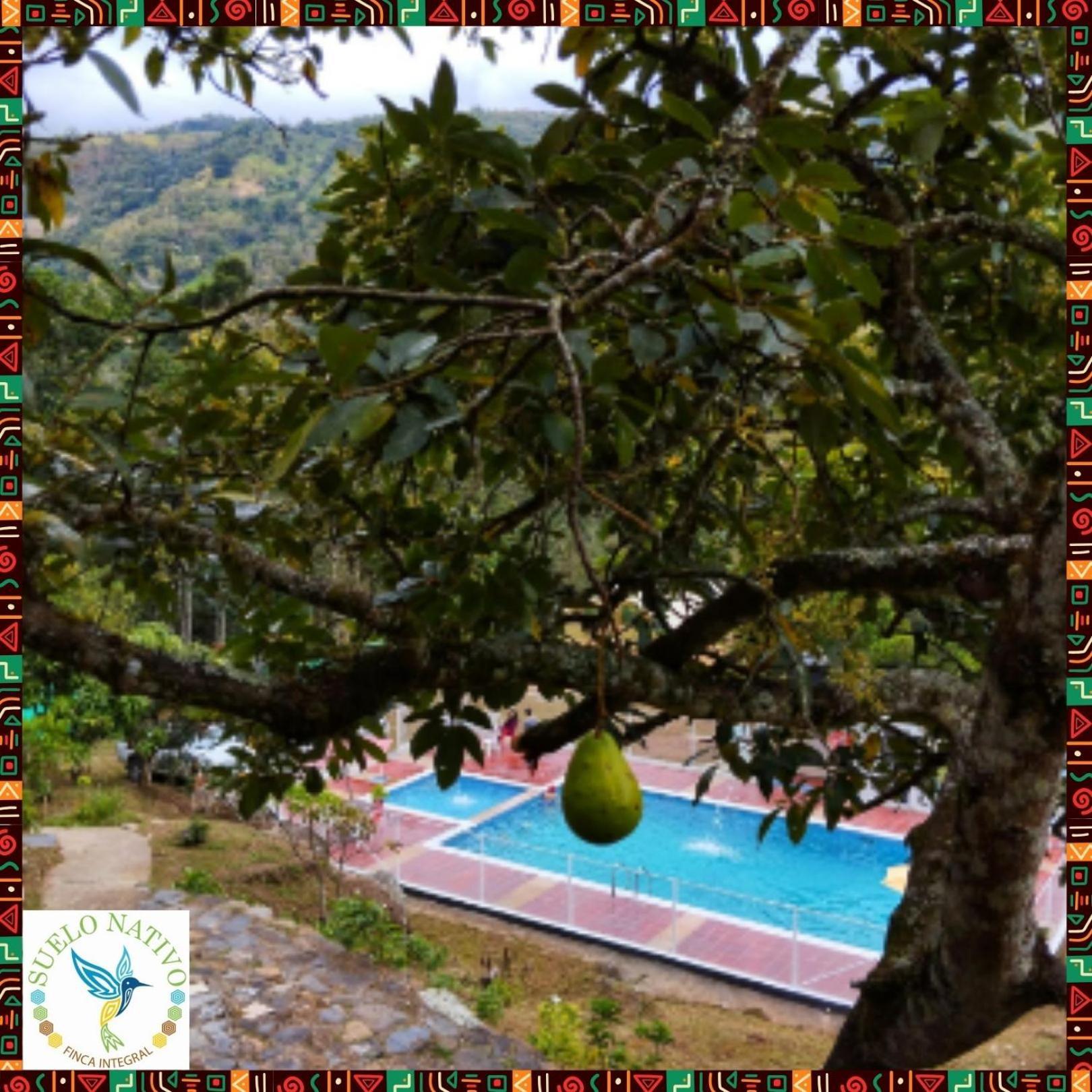 Hotel Finca Integral Suelo Natiivo "Integramos El Campo Con Tu Bienestar" Guaduas Kültér fotó